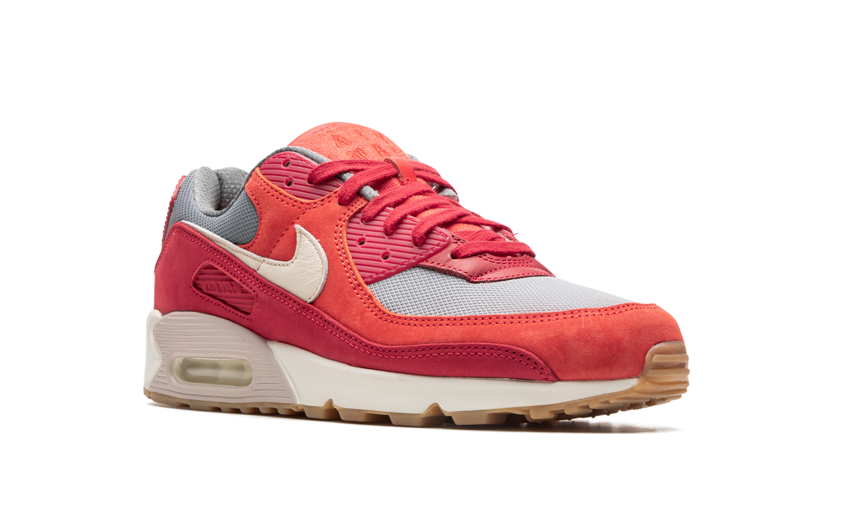 Air Max 90 PRM "Gym Red" DH4621 600