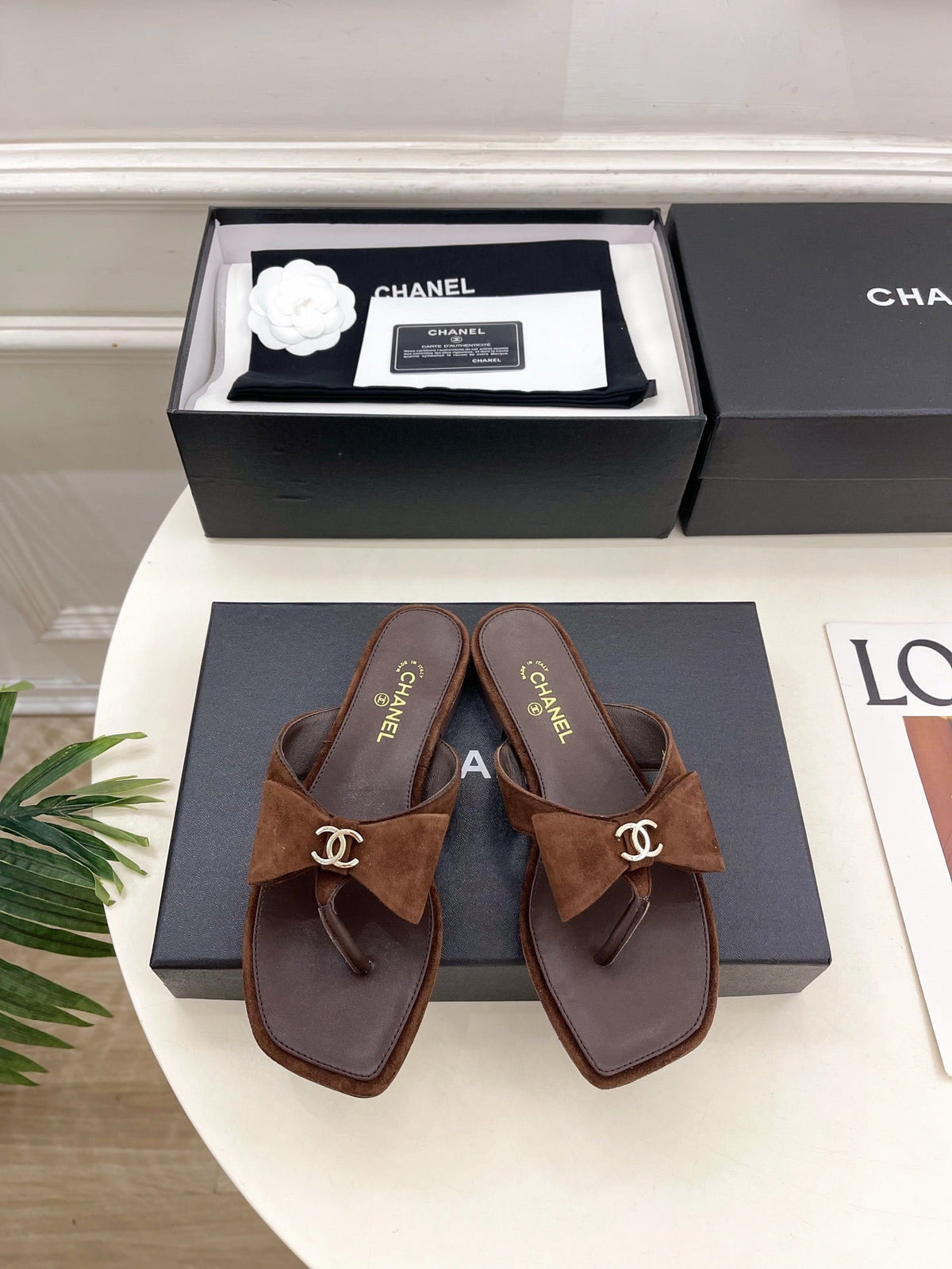 CC Bow Thong Flat Sandals Dark Brown Suede 891776