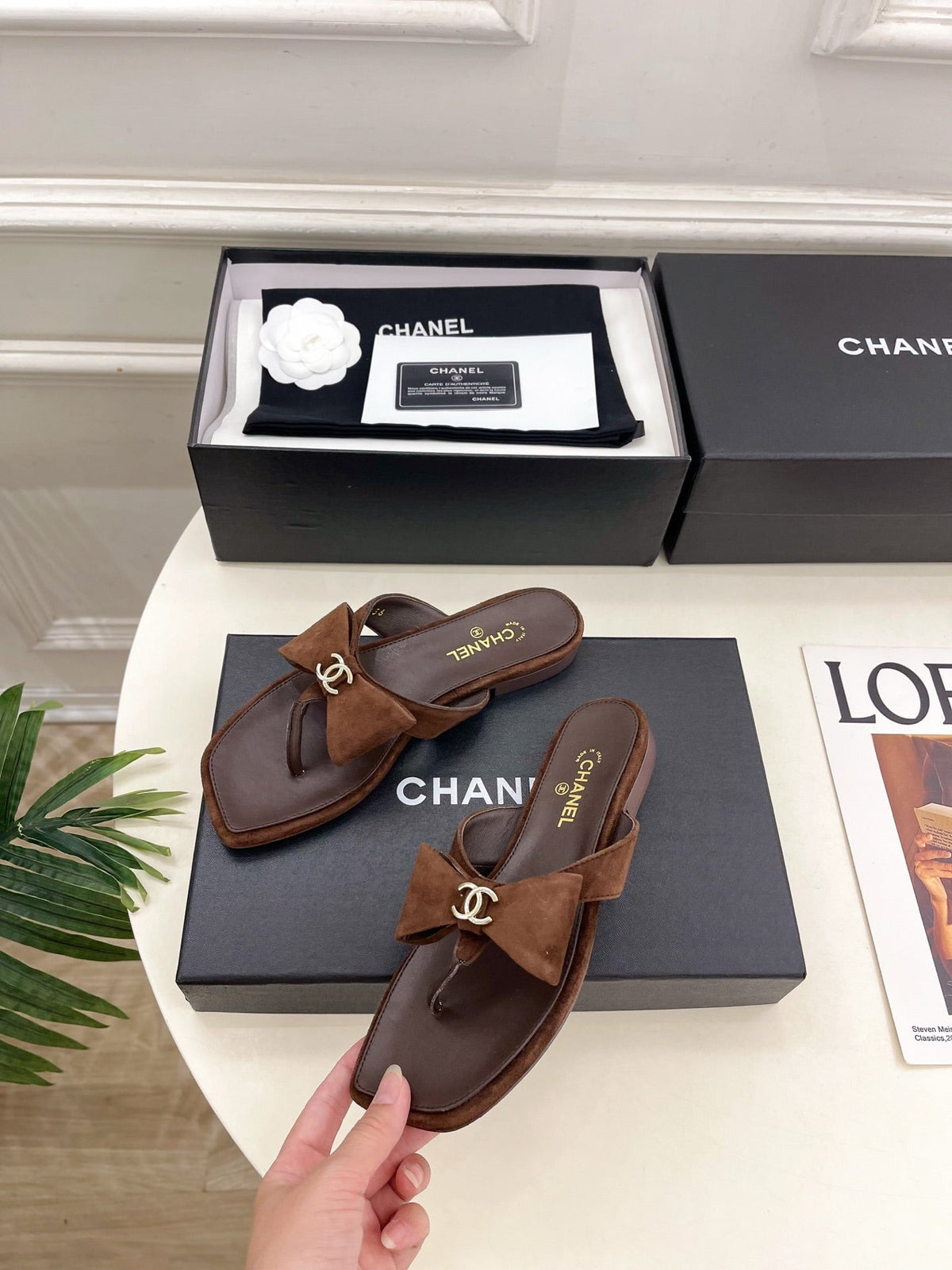 CC Bow Thong Flat Sandals Dark Brown Suede 891776