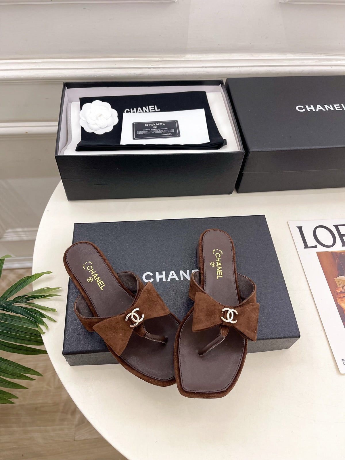 CC Bow Thong Flat Sandals Dark Brown Suede 891776