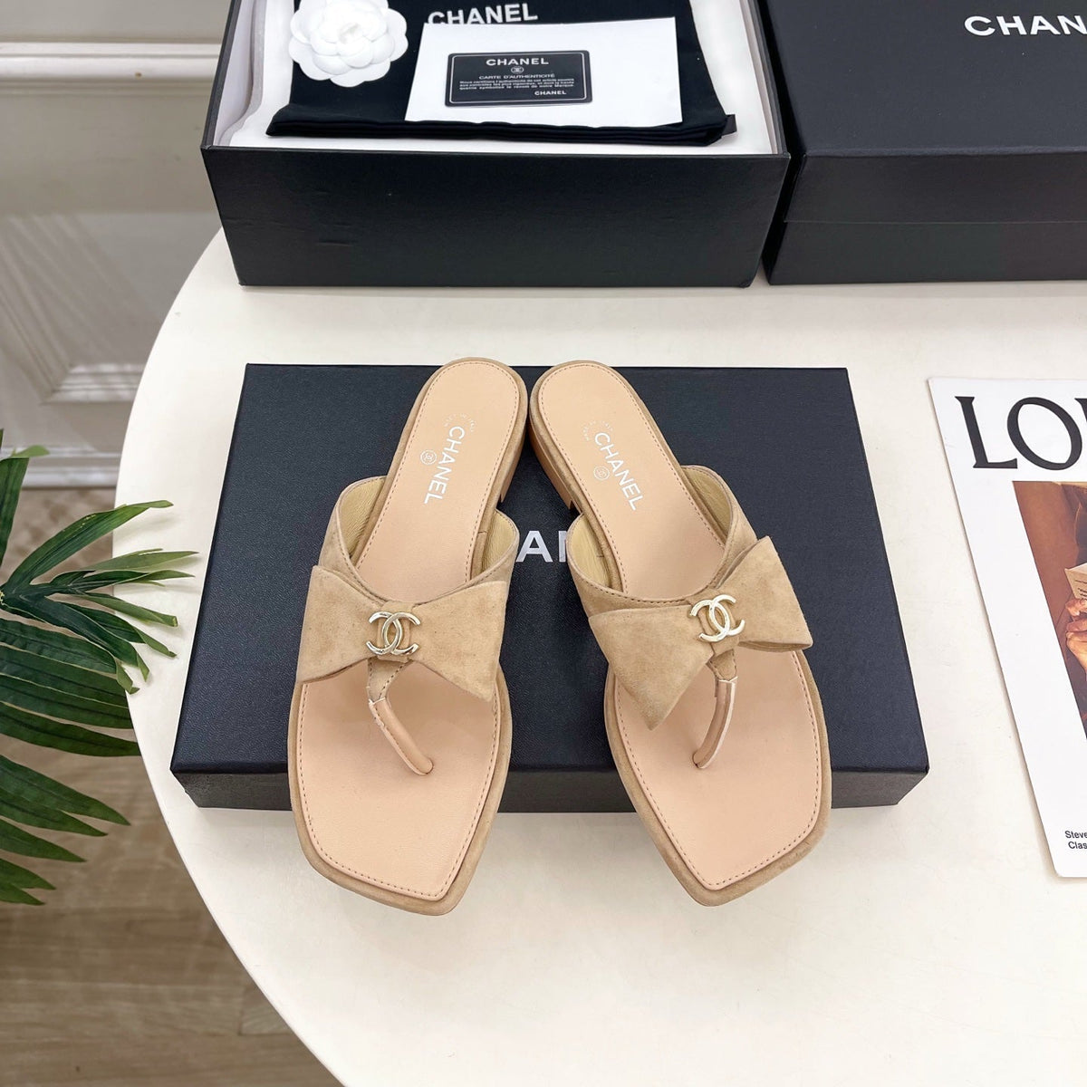 CC Bow Thong Flat Sandals Beige Suede 891775