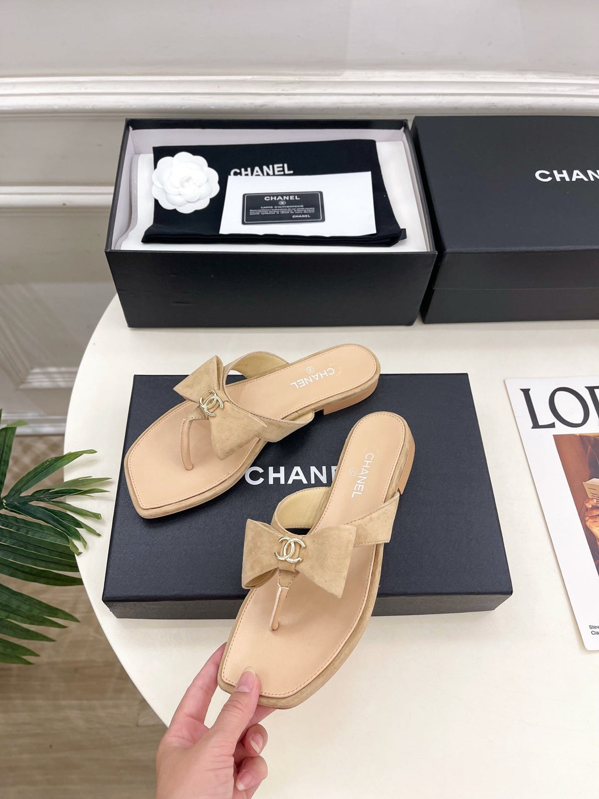 CC Bow Thong Flat Sandals Beige Suede 891775