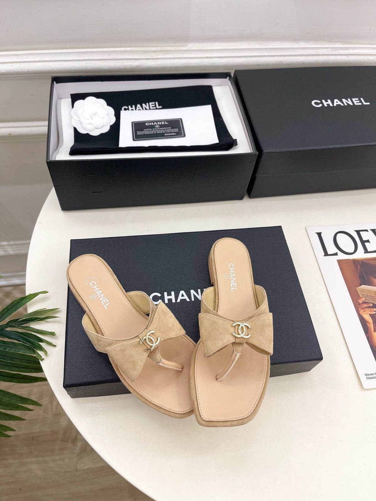 CC Bow Thong Flat Sandals Beige Suede 891775