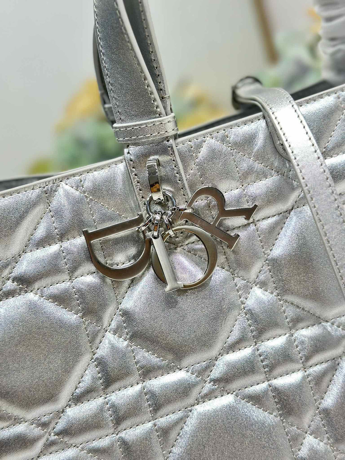 Dior 2026 Toujours Bag Silver Calfskin 288544