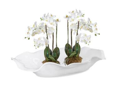 VIDA HAVANA CENTERPIECE