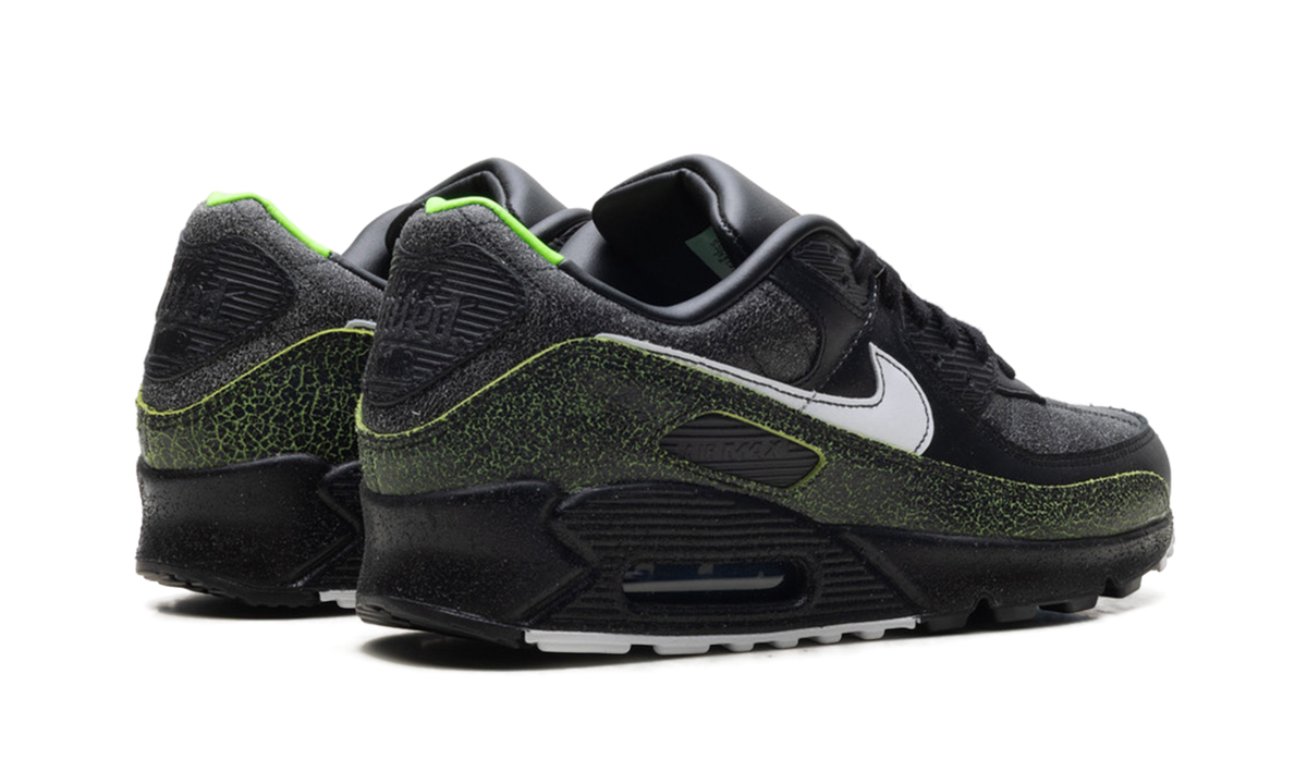 Air Max 90 "Tiempo 2005" IU0523 010