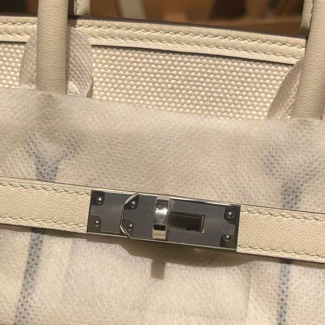 HM Birkin 25 Cargo Bag Canvas Toile Swift