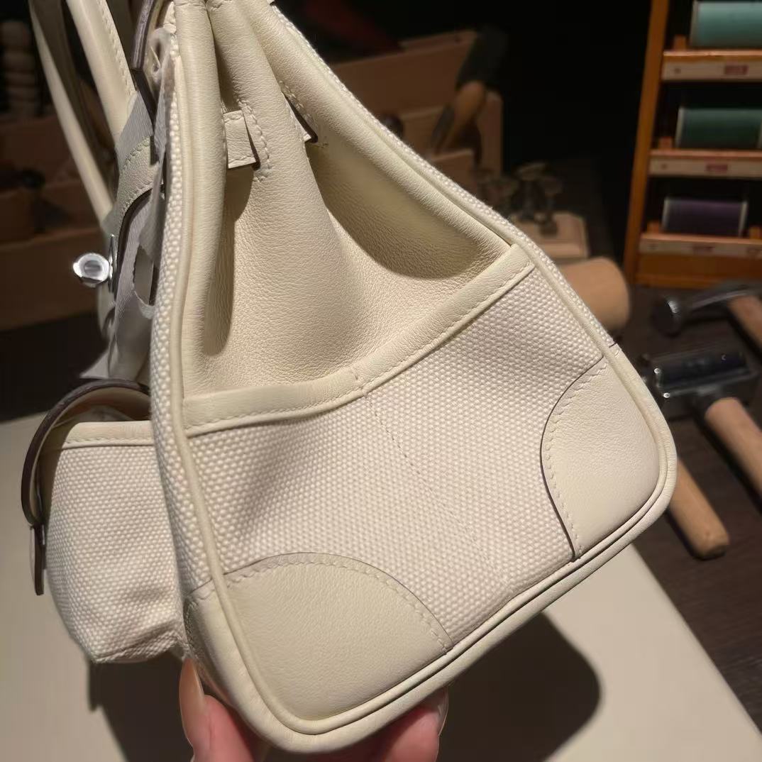 HM Birkin 25 Cargo Bag Canvas Toile Swift