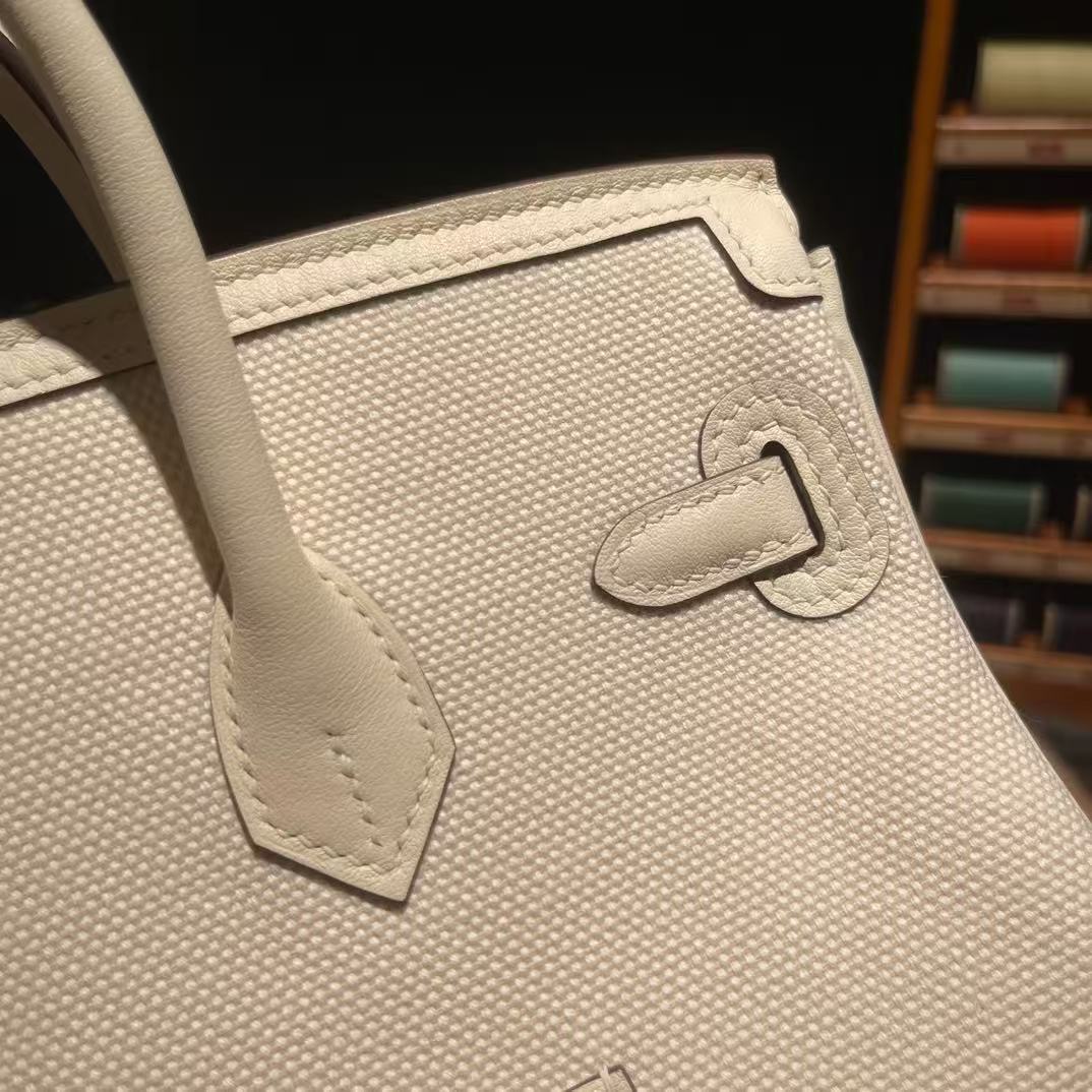 HM Birkin 25 Cargo Bag Canvas Toile Swift