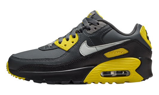 Air Max 90 LTR GS "Lightning Smoke Grey Anthracite Light Silver" CD6864 702