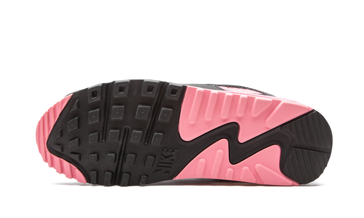 Air Max 90 W "Rose" CD0490 102