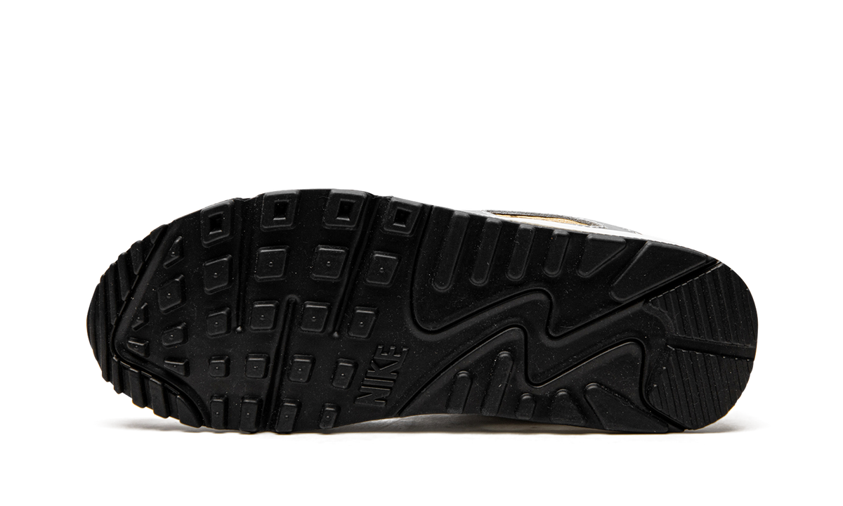 AIR MAX 90 SE MNS WMNS "Metallic" DJ6208 100