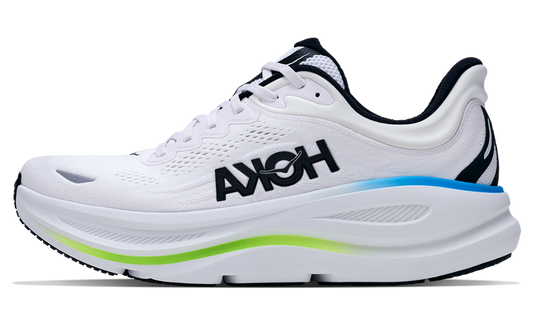 Bondi 9 "Frost" 1162011 FLCK