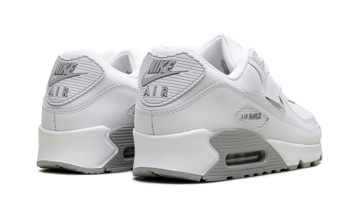Air Max 90 "Jewel Light Smoke Grey" FN8005 100